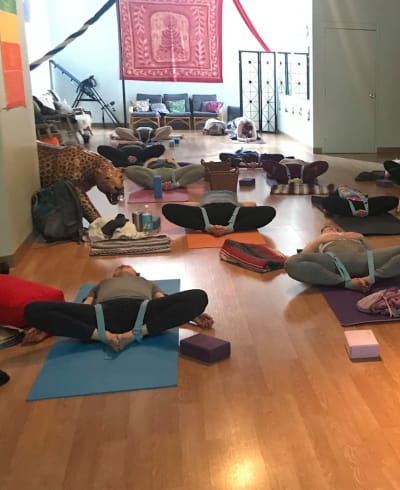 The Studio Cleveland